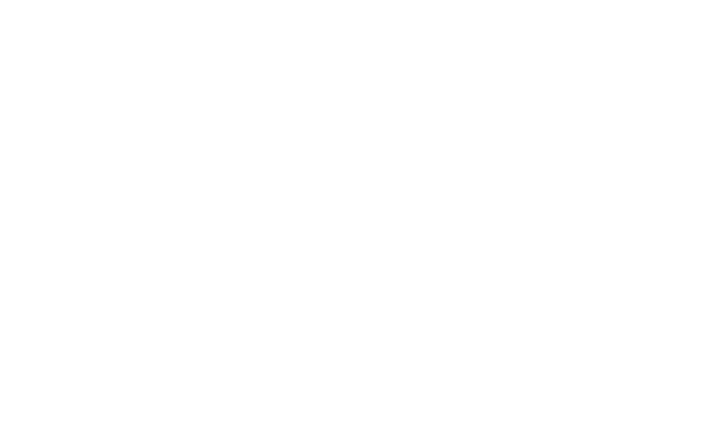 BUSINESS ACADEMY LOGO- white